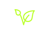 币拓交易所App界面